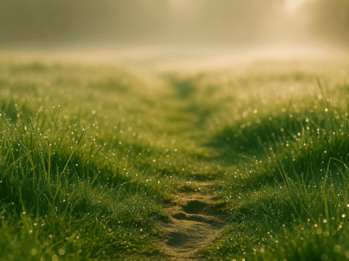 Morgentau als stilles Erwachen